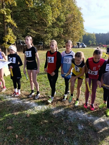 558223778_1590725645224352_8787967209843954297_n