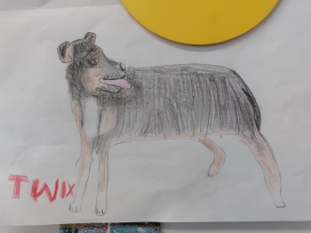 571812005_1605594490404134_221699645493345237_n