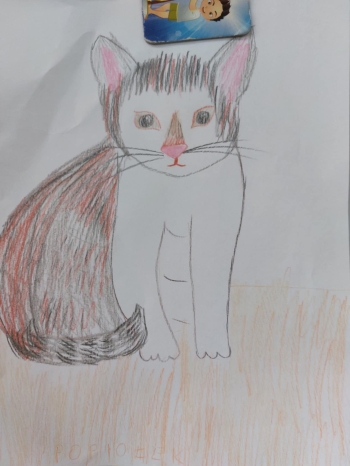 571121277_1605594530404130_6826257160004971976_n