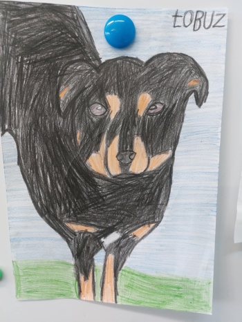 570540038_1605594180404165_5245291019168752440_n