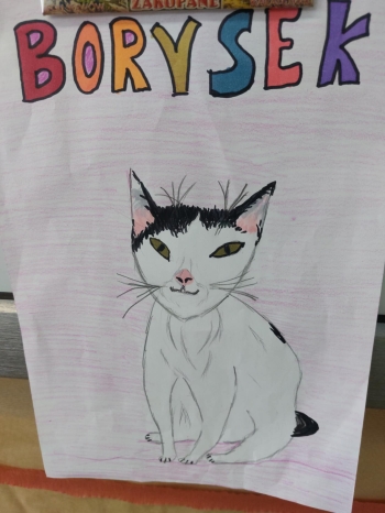 571156074_1605594090404174_3677392754638805710_n