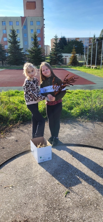 574575292_1614678069495776_4242585321242273540_n