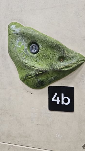 648727834_1719288469034735_6855192534044835464_n