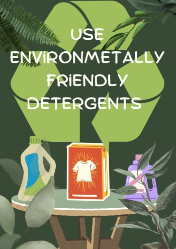 eco detergents